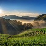 Chennai to Munnar – A Road Trip Guide